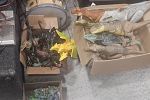 Sale Photo Thumbnail #31