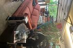 Sale Photo Thumbnail #30