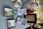 Sale Photo Thumbnail #12