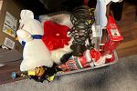 Sale Photo Thumbnail #13