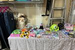 Sale Photo Thumbnail #3