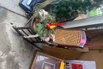 Sale Photo Thumbnail #20