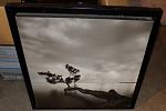 Sale Photo Thumbnail #22