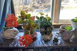 Sale Photo Thumbnail #31
