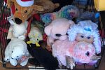 Sale Photo Thumbnail #20
