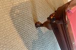 Sale Photo Thumbnail #24