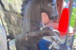 Sale Photo Thumbnail #2