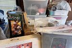 Sale Photo Thumbnail #17