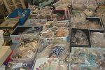 Sale Photo Thumbnail #72