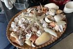 Sale Photo Thumbnail #31