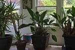 Sale Photo Thumbnail #48