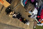 Sale Photo Thumbnail #2