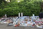 Sale Photo Thumbnail #9