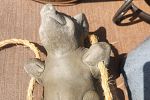 Sale Photo Thumbnail #228