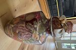 Sale Photo Thumbnail #1