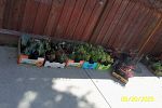 Sale Photo Thumbnail #18