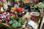 Sale Photo Thumbnail #45