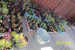 Sale Photo Thumbnail #17