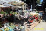 Sale Photo Thumbnail #27