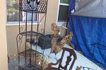 Sale Photo Thumbnail #30