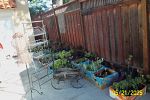 Sale Photo Thumbnail #22