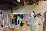 Sale Photo Thumbnail #11