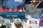 Sale Photo Thumbnail #15