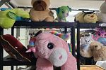 Sale Photo Thumbnail #15
