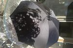 Sale Photo Thumbnail #56
