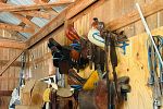 Sale Photo Thumbnail #46