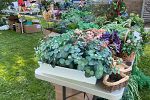 Sale Photo Thumbnail #14