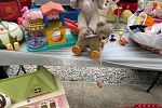 Sale Photo Thumbnail #11
