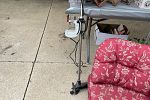 Sale Photo Thumbnail #13