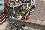 Sale Photo Thumbnail #4
