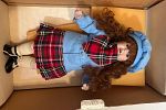 Sale Photo Thumbnail #45