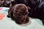 Sale Photo Thumbnail #22