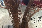 Sale Photo Thumbnail #10