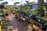 Sale Photo Thumbnail #13