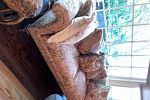 Sale Photo Thumbnail #94
