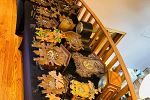 Sale Photo Thumbnail #29