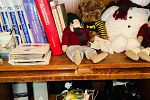 Sale Photo Thumbnail #269
