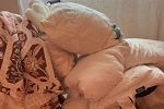 Sale Photo Thumbnail #20
