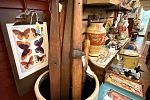 Sale Photo Thumbnail #31
