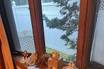 Sale Photo Thumbnail #25