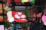 Sale Photo Thumbnail #11