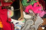 Sale Photo Thumbnail #17
