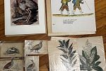 Sale Photo Thumbnail #32