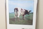 Sale Photo Thumbnail #19