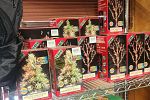 Sale Photo Thumbnail #61