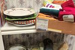 Sale Photo Thumbnail #109